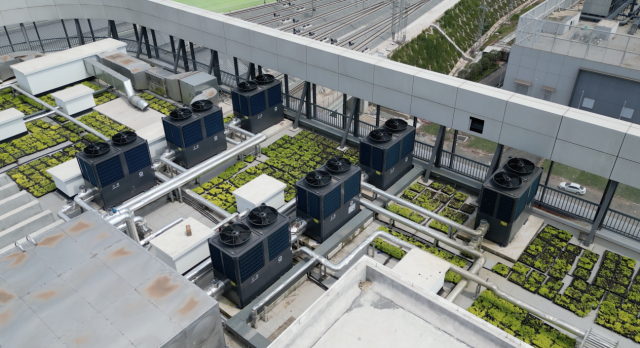 BETWAY·必威(西汉姆联)官方网站-West Ham United