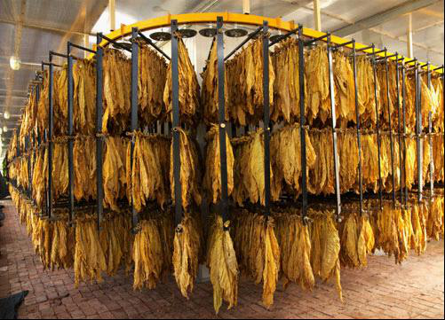 BETWAY·必威(西汉姆联)官方网站-West Ham United