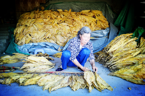 BETWAY·必威(西汉姆联)官方网站-West Ham United