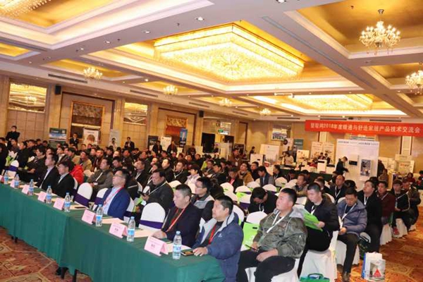 BETWAY·必威(西汉姆联)官方网站-West Ham United